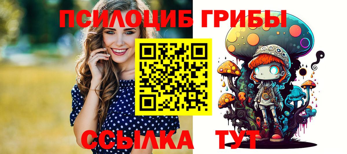 Псилоцибиновые грибы Magic Shrooms  где купить наркоту  Красный Сулин  Вход с VPN 